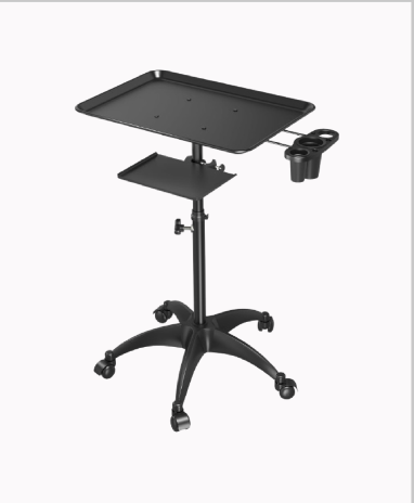 Salon Tray Cart with Storage Platform
